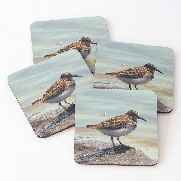 Item preview, A Least Sandpiper Along a Shore designed and sold by BackyardBirder.