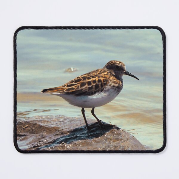 Item preview, A Least Sandpiper Along a Shore designed and sold by BackyardBirder.