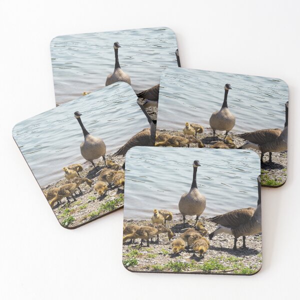 Item preview, Canada Goose Parents With Their Goslings designed and sold by BackyardBirder.