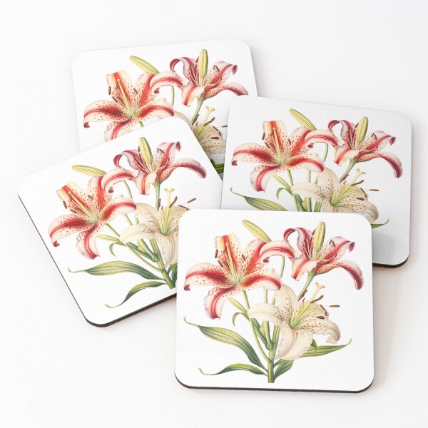 Item preview, Lilium 'Dizzy' (Oriental Lily) designed and sold by Cre8tivEndeav4s.