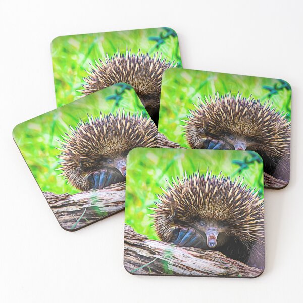 Item preview, Smudge painting of an Echidna designed and sold by Kathie Thomas.