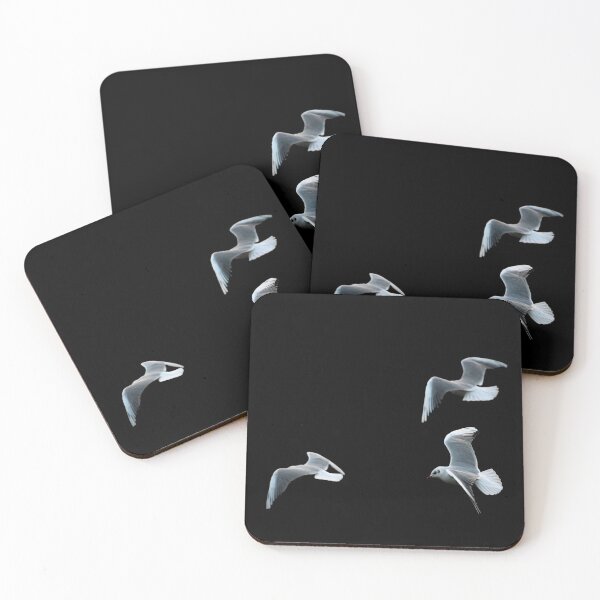 Item preview, Seagulls in flight designed and sold by noahjpphotos.
