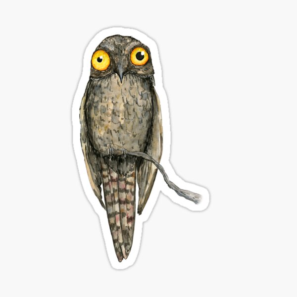 Item preview, A watercolor drawing of a Common potoo designed and sold by Bwiselizzy.