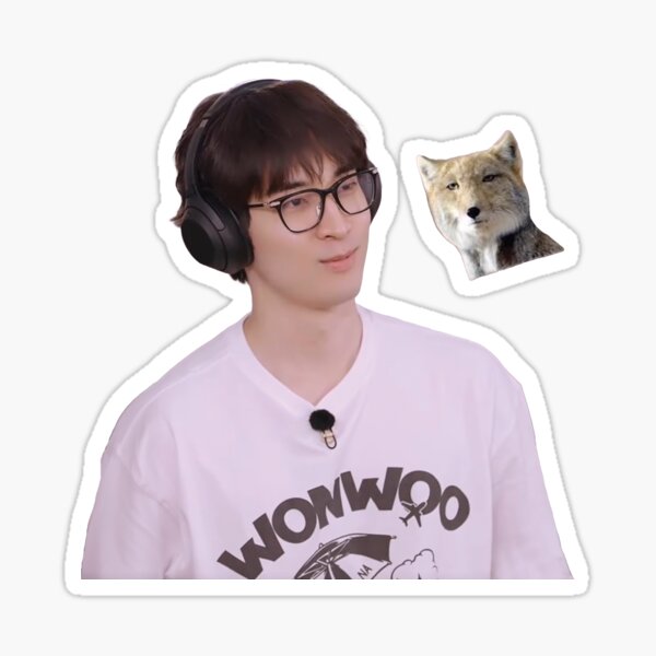 Item preview, Seventeen Funny Wonwoo Meme designed and sold by kpopnow.
