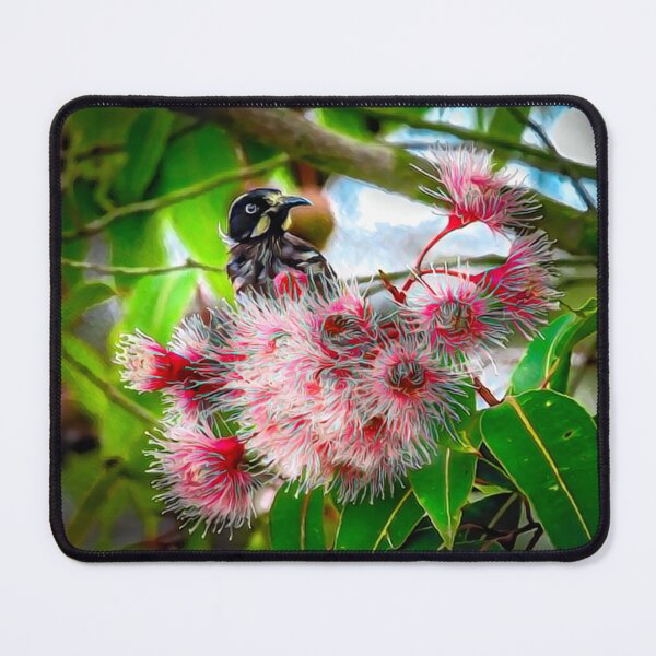 Item preview, New Holland Honeyeater in Corymbia Flower designed and sold by Kathie Thomas.