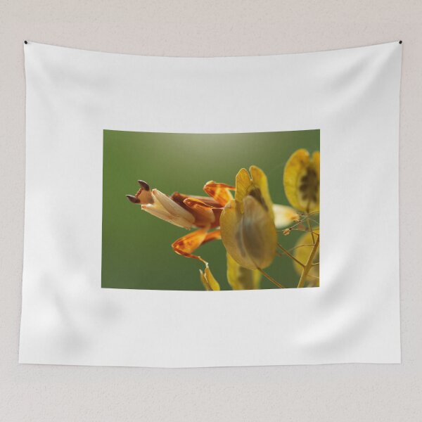 Item preview, Mantis designed and sold by Catrinann.