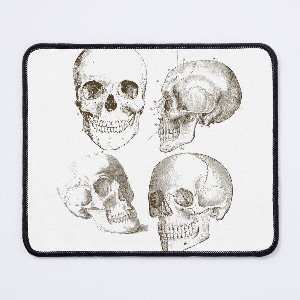 Item preview, Human skull anatomy sketch designed and sold by Kate Made ART.