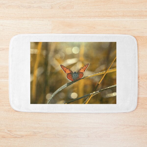Item preview, Summer butterfly designed and sold by Catrinann.