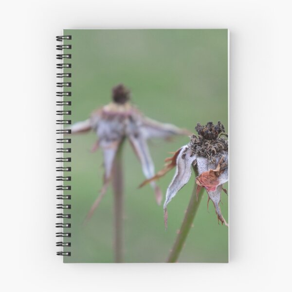 Item preview, Rose hip designed and sold by Calidris Fotografie Steffi & Ben Köppler.