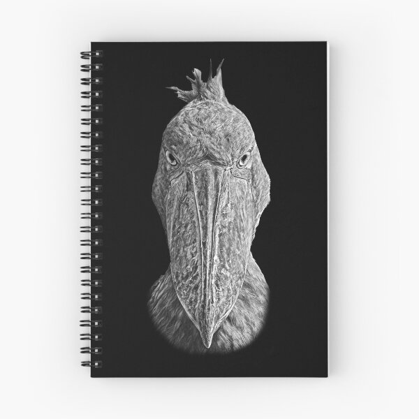 Item preview, Shoebill head  designed and sold by Emanuele Biggi.
