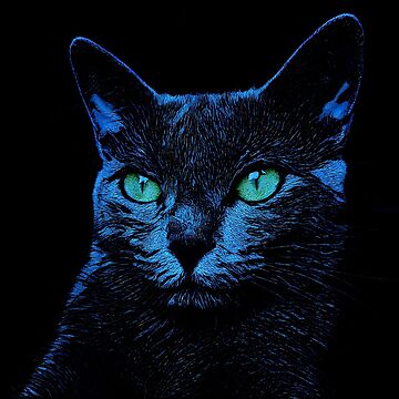 Vorschaubild zum Design BLUE CAT ON BLACK von fuxart