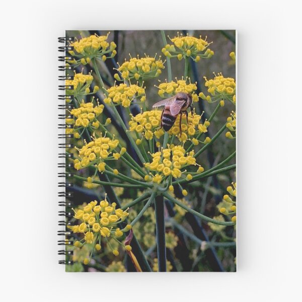 Aperçu de l'œuvre VOIR L'ABEILLE À SES GENOUX créée et vendue par CHOCOLATESCORPI.