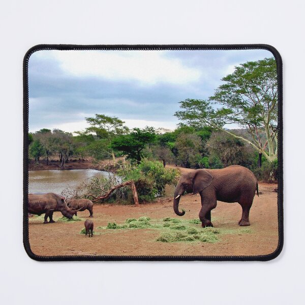 Item preview, African Elephant White Rhinoceros South Africa designed and sold by AndyEvansPhotos.