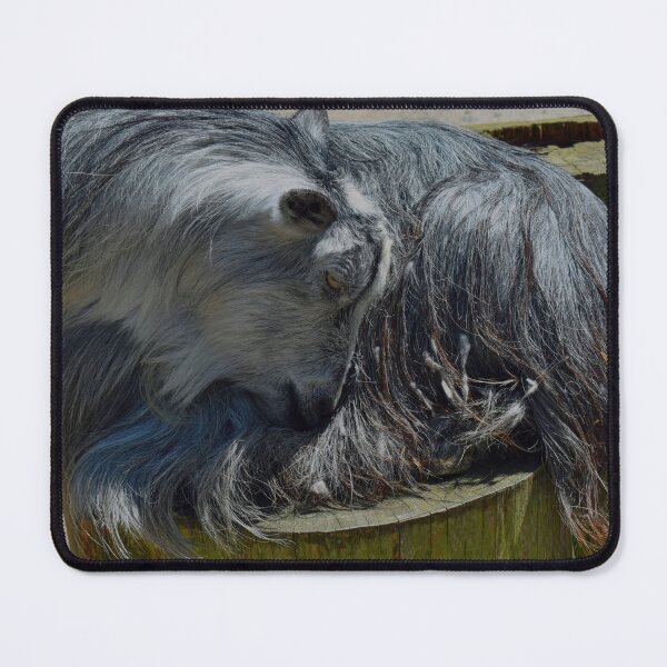 Item preview, Goat on a Post designed and sold by bertsworks300.