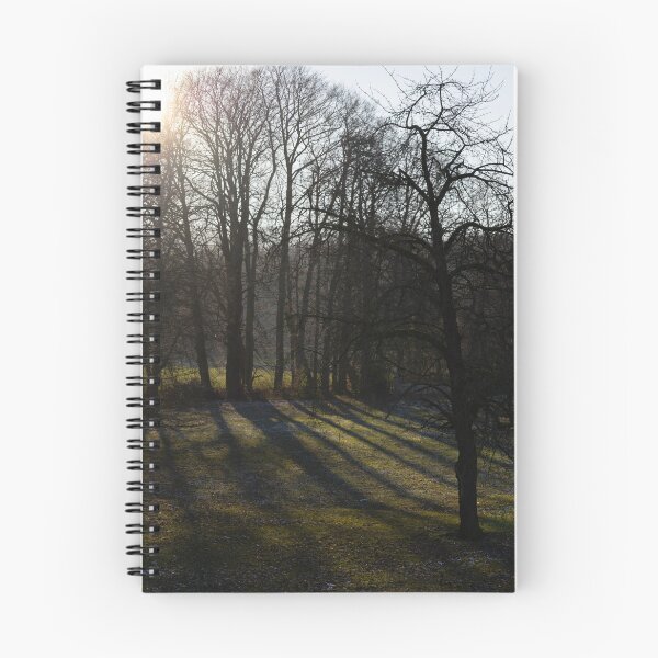 Item preview, Shadow Trees designed and sold by Calidris Fotografie Steffi & Ben Köppler.