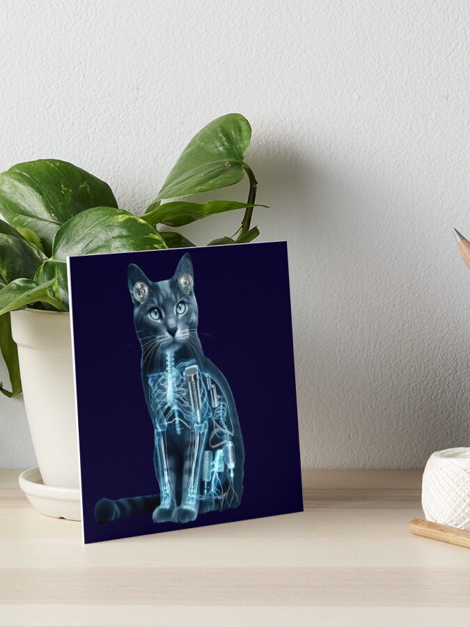 Acoustic Kitty Project