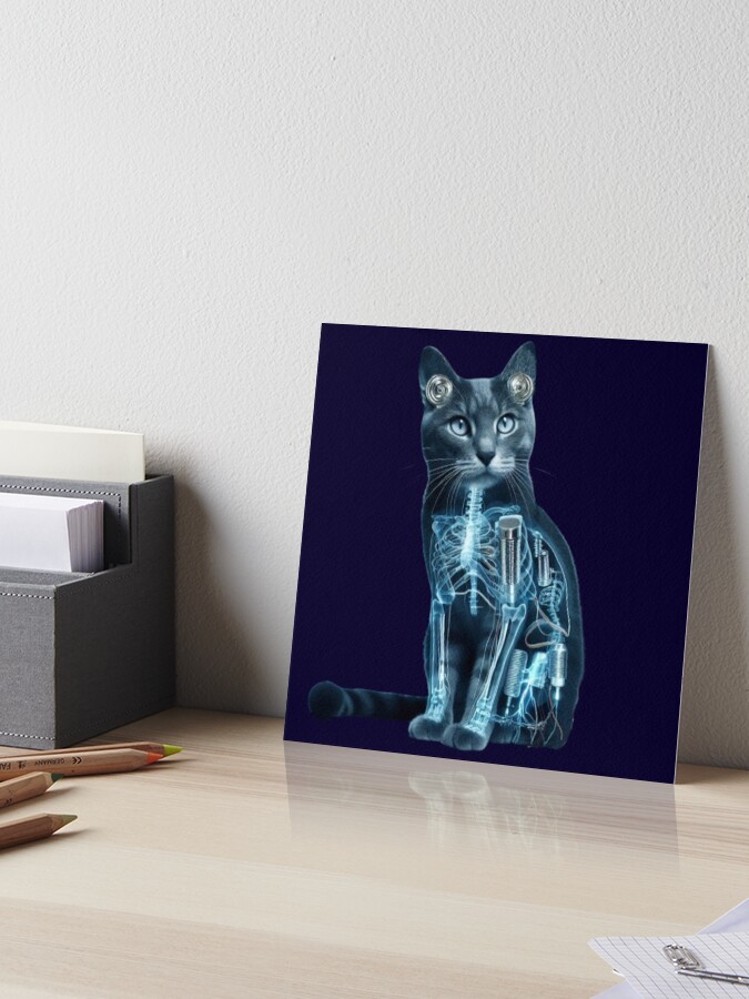 Acoustic Kitty Project