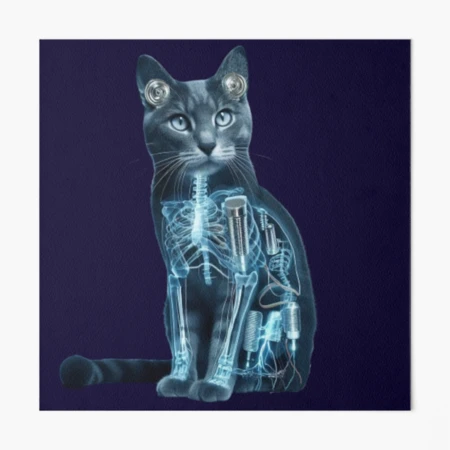 Acoustic Kitty Project