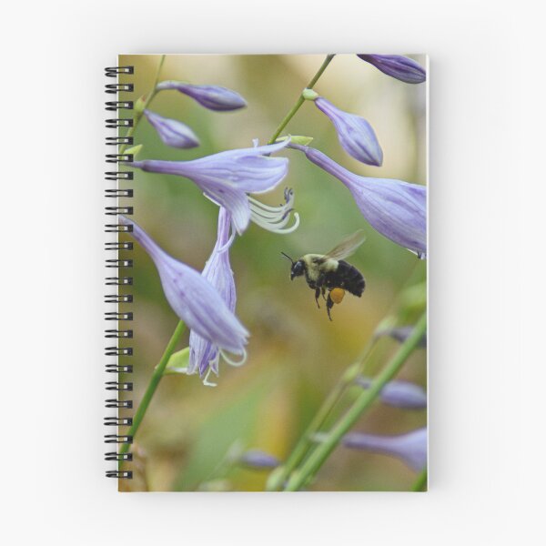 Item preview, Bee by Purple Flower designed and sold by RPoli3.