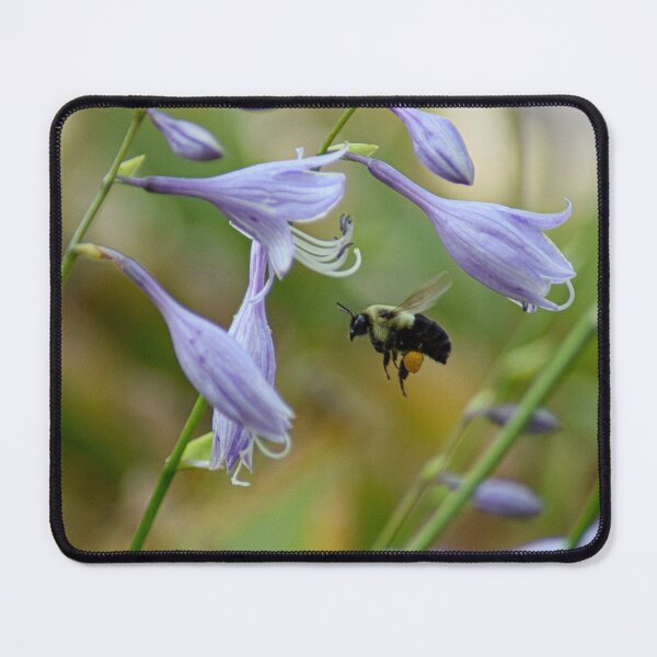 Item preview, Bee by Purple Flower designed and sold by RPoli3.