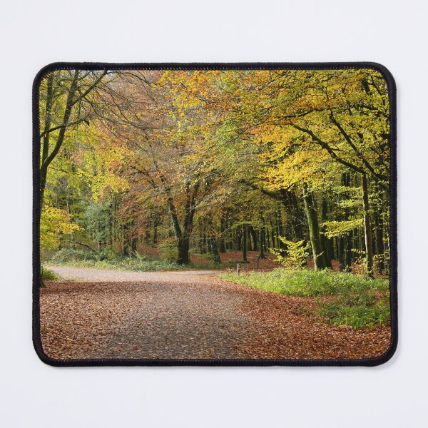 Item preview, Fforest Fawr Woodlands and Footpaths Cardiff  designed and sold by Cameranick.
