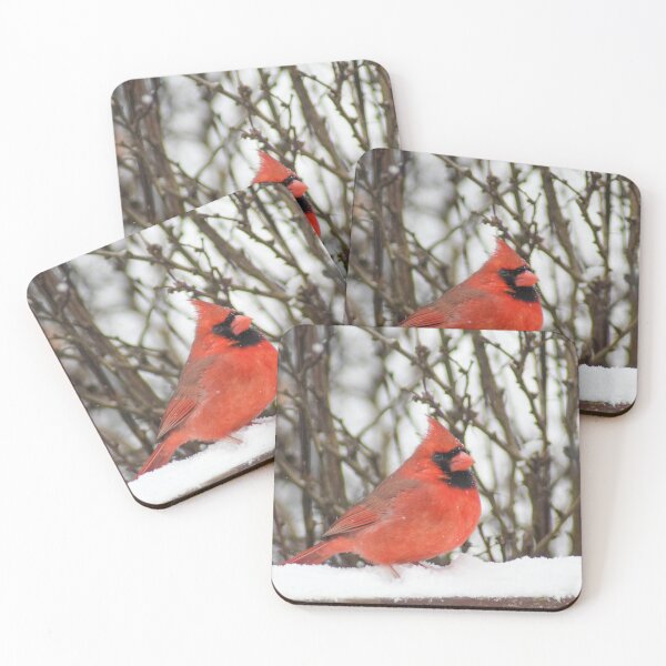 Item preview, Male Northern Cardinal in Snow designed and sold by RPoli3.