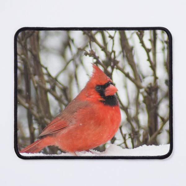 Item preview, Male Northern Cardinal in Snow designed and sold by RPoli3.