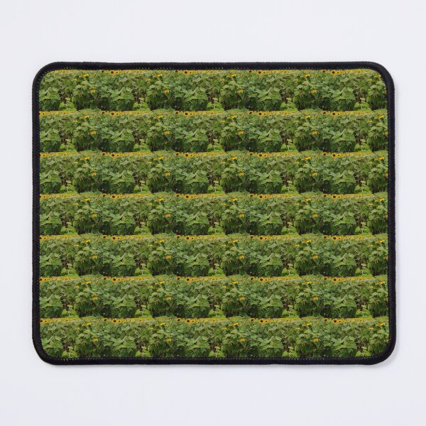 Item preview, Amazing Sunflower on a farm in Lugari Kenya designed and sold by annenambiro.