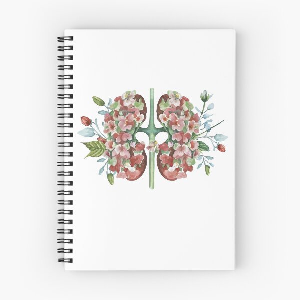 Item preview, Anatomy floral Kidney cutout illustration designed and sold by EmeraldeaArt.