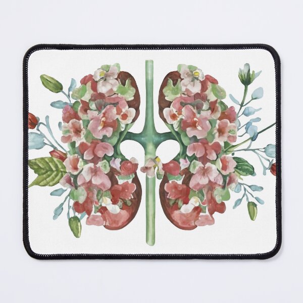 Item preview, Anatomy floral Kidney cutout illustration designed and sold by EmeraldeaArt.