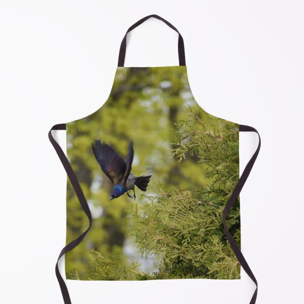 Item preview, Male Common Grackle in Flight designed and sold by RPoli3.