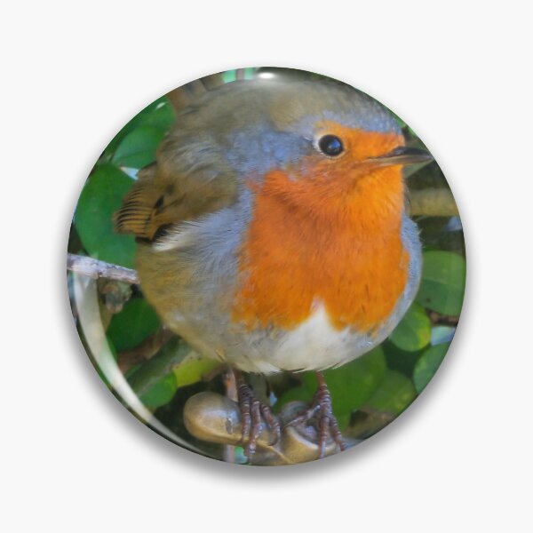 Item preview, Robin of walney Island designed and sold by kip13.