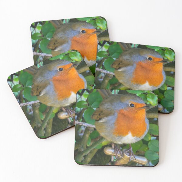 Item preview, Robin of walney Island designed and sold by kip13.