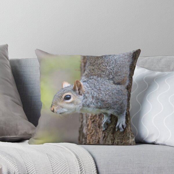 Item preview, Squirrel designed and sold by Ellesscee.