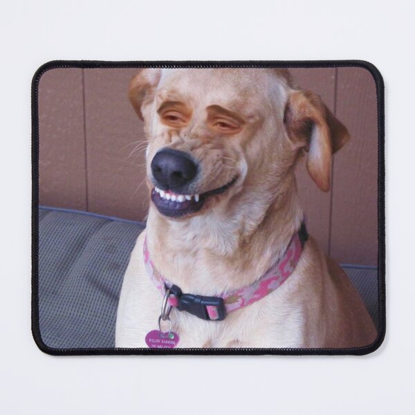 Item preview, Dog meme human face sticker designed and sold by ignaciosnachos.