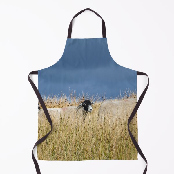 Item preview, Three Swaledale Sheep in a Row designed and sold by Cameranick.