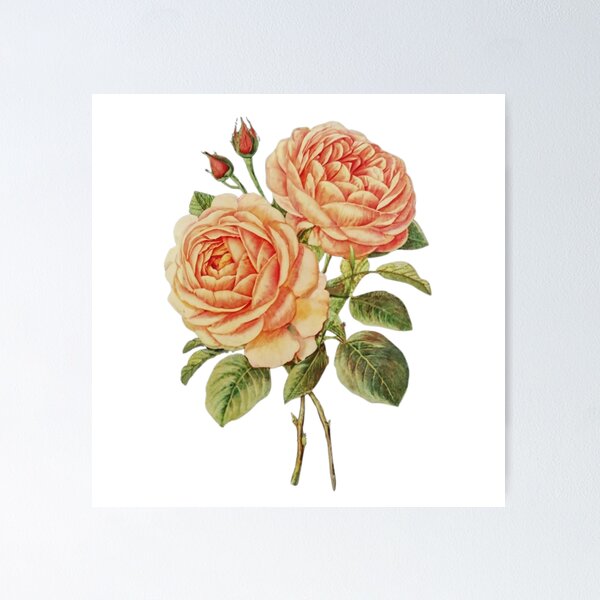 Item preview, Roses designed and sold by Art-Design-EM.