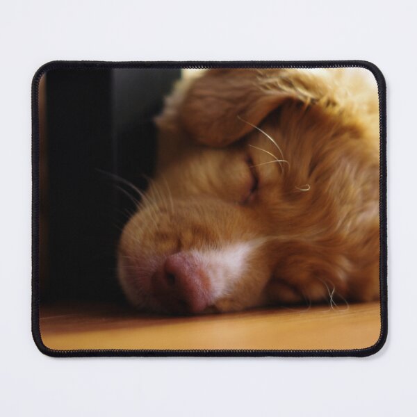 Item preview, Nap Time Toller designed and sold by Joseph Carlson.