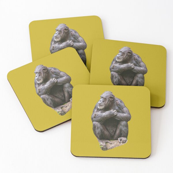 Item preview, Chimpanzee - Watching the World go by designed and sold by Dalyndigital Photography.