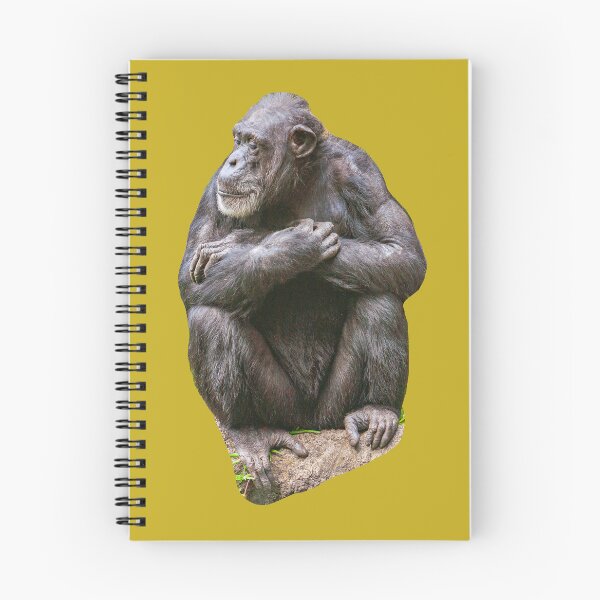 Item preview, Chimpanzee - Watching the World go by designed and sold by Dalyndigital Photography.