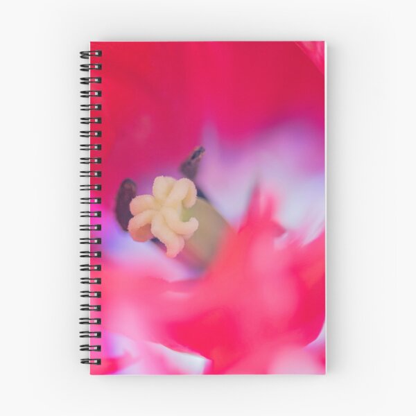 Aperçu de l'œuvre Étamines de tulipes créée et vendue par DIANE  FIFIELD.
