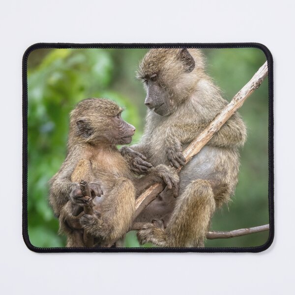 Item preview, Infant and Adult Baboon Tanzania Africa designed and sold by PhotoArt by Joan Carroll.
