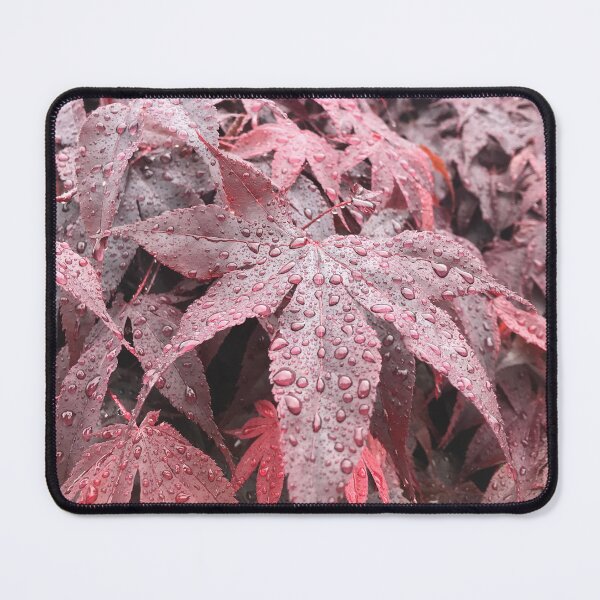 Item preview, Wet Japanese Maple Leaves designed and sold by Sarah Meytin.