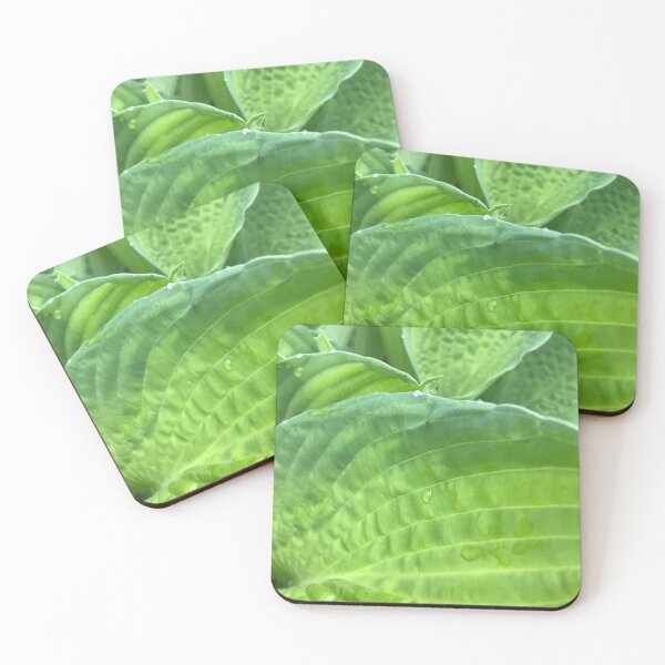 Item preview, Plantain lily (Hosta)  designed and sold by Sarah Meytin.