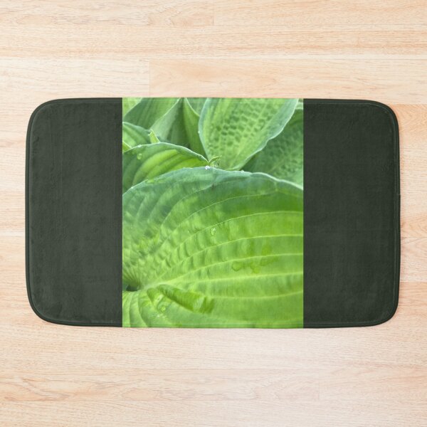 Item preview, Plantain lily (Hosta)  designed and sold by Sarah Meytin.