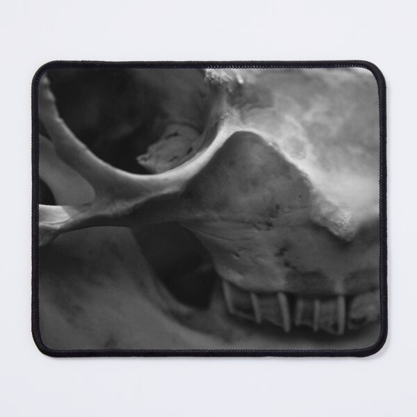 Item preview, SKULL 002 - Abstract Gothic Photography - Domestic Sheep designed and sold by SageFolio.