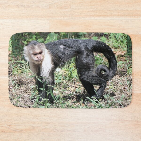 Item preview, vr 3575- 3/ finition 2023  singes : les Capucins à épaule blanches -  Okaio Créations Olavia-Olao designed and sold by o.okaïo.