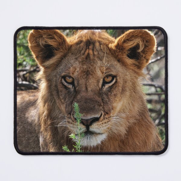 Item preview, "Eye to Eye" designed and sold by Andreas Koerner.