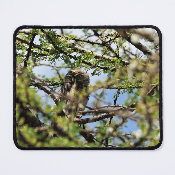 Item preview, "Waiting for the Nightfall" designed and sold by Andreas Koerner.