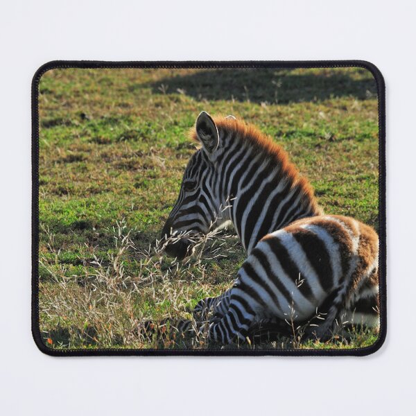 Item preview, "Resting" designed and sold by Andreas Koerner.